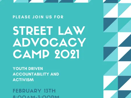 PVS Criminal Justice Group attends UofM Law Advocacy Camp
