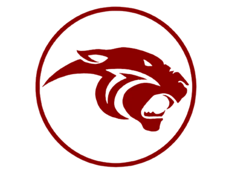 1st Day Back - Panther's Purrrspective!